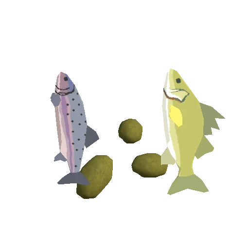 Plain Fish and Bulbs