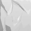 Deed: Hair Color - White