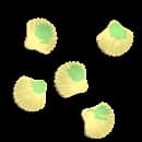 Crystal Shell Scallop