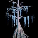 Ancient Cypress Tree