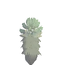 Planted Dendro Sapling