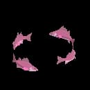 School Of Breezy Fin Darters 