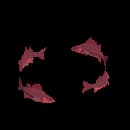 School Of Emberfin Shiners