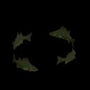 School Of Mossfin Chub