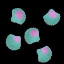 Tough Shelled Mussel