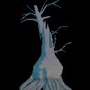 Fully Grown Willow Tree